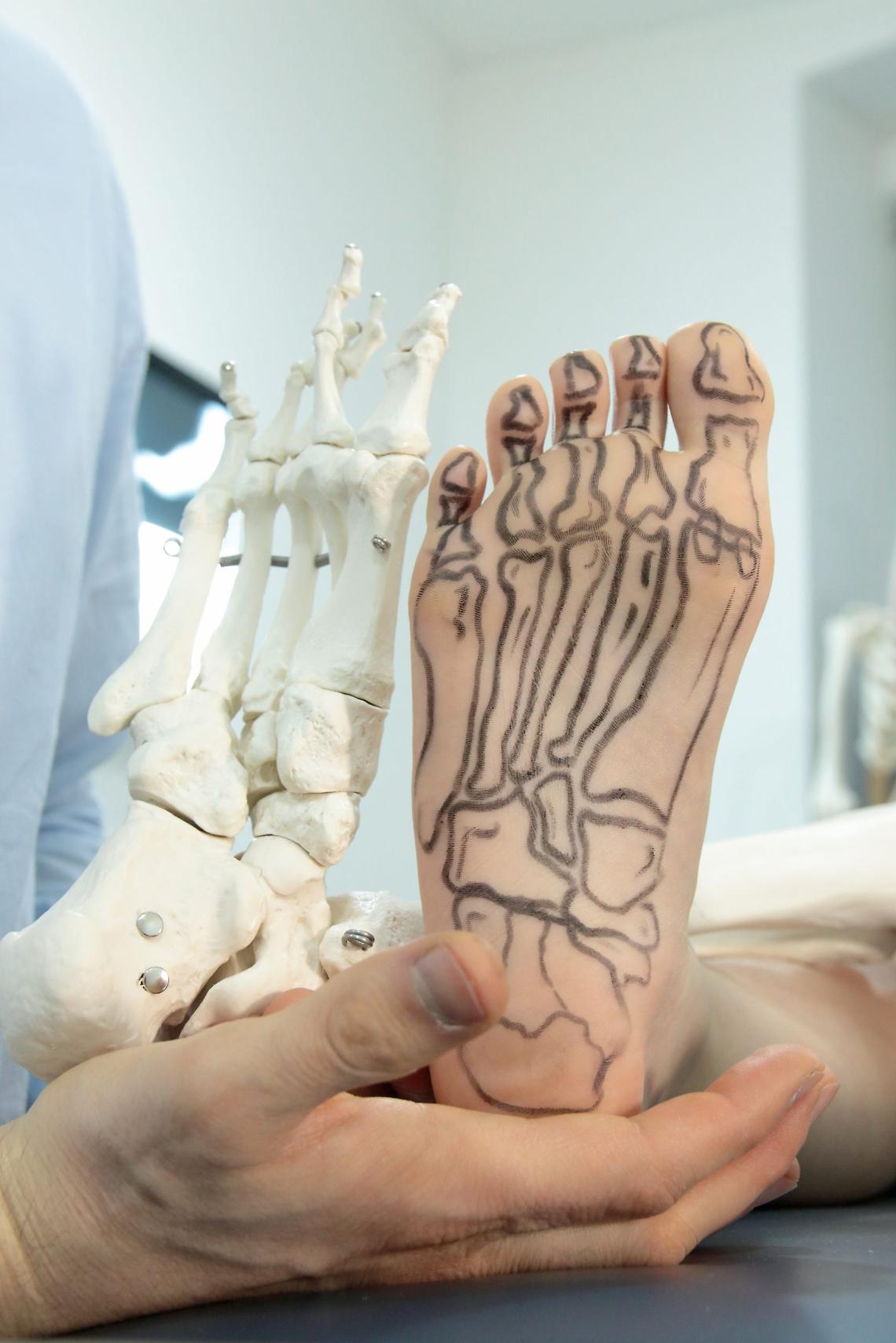 presentation of human foot with drawing of bones on the skin, an