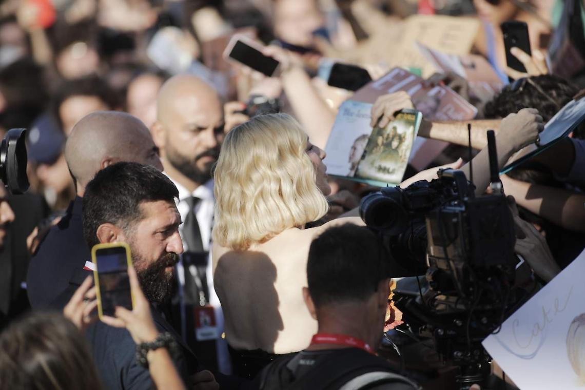 Festival Venezia 8