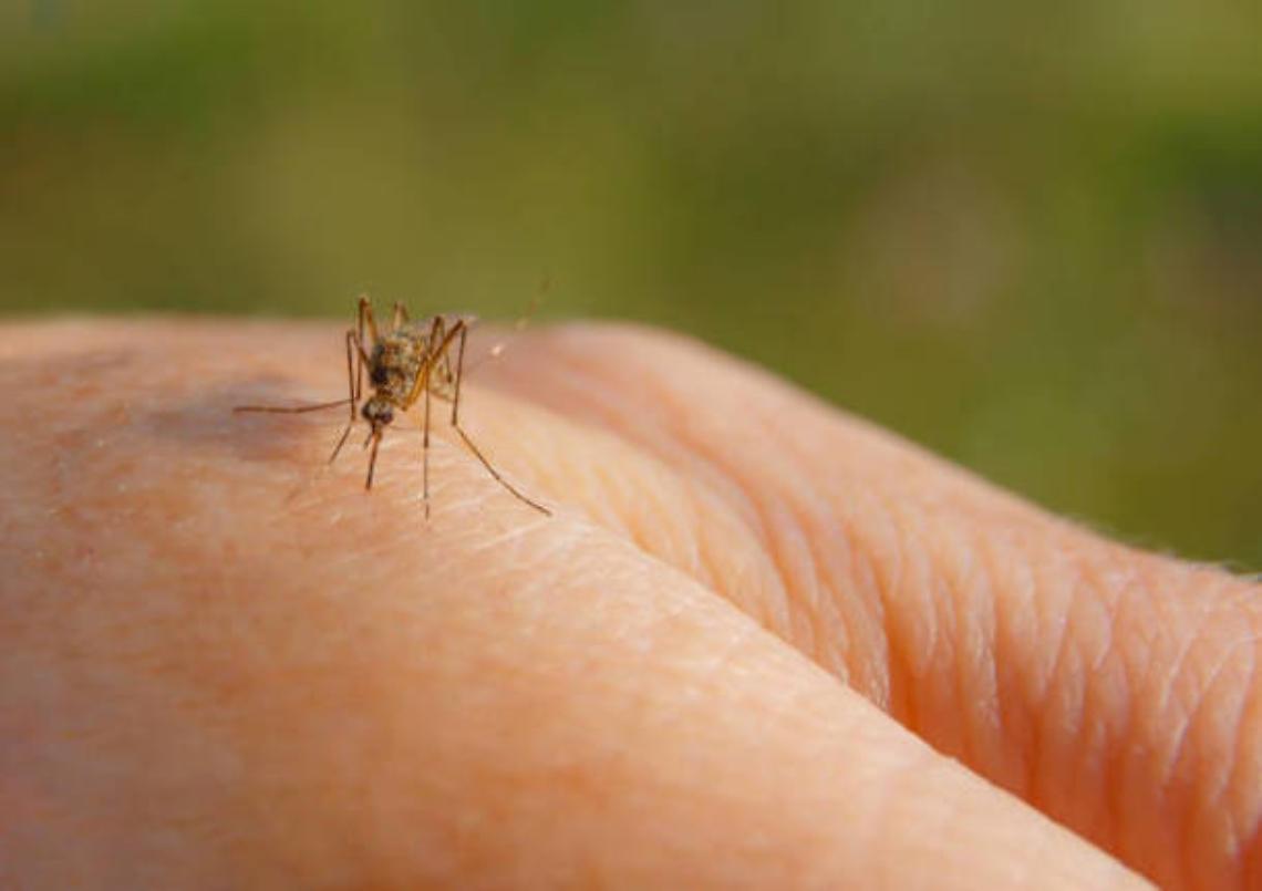 west nile