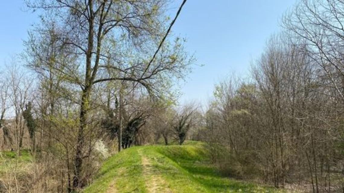 aLBERI BOSCO cARPANEDA