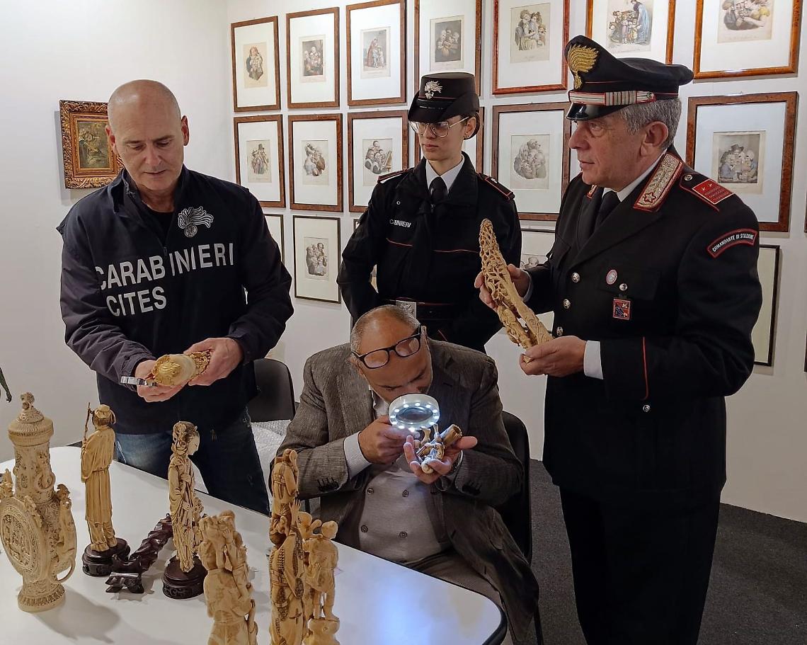 carabinieri venezia padova manufatti avorio