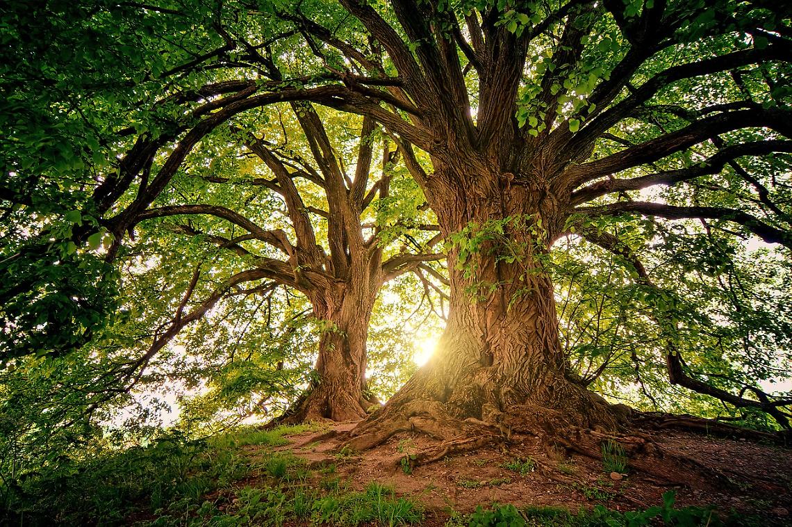 natura