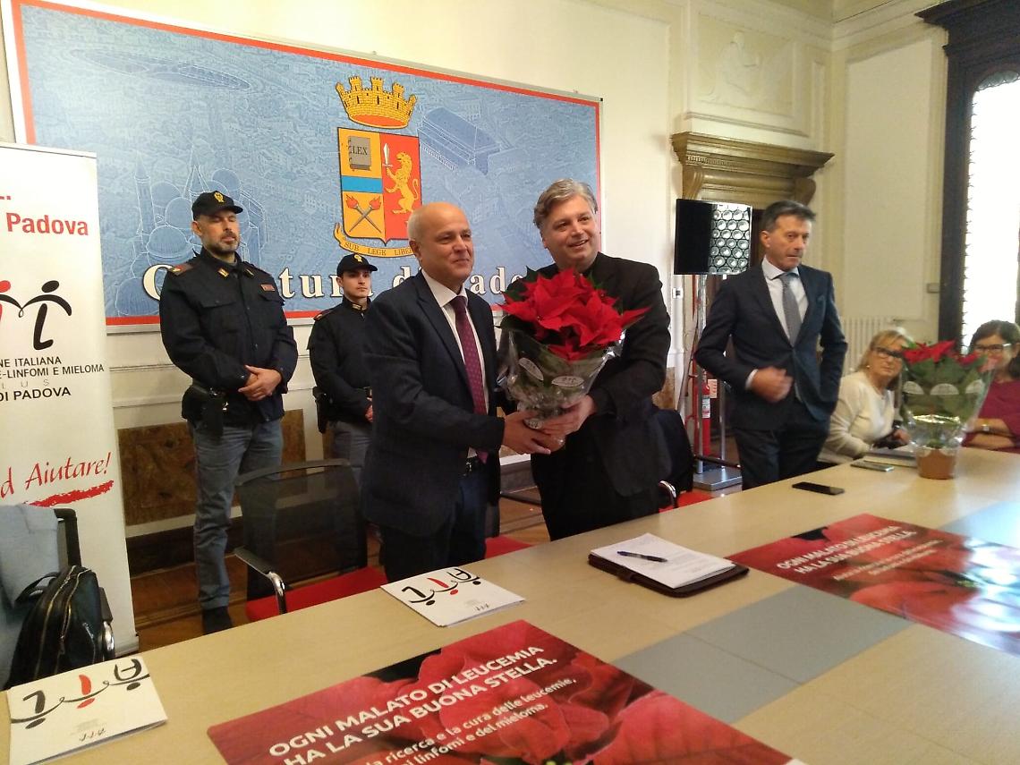 stelle natale 2022 3