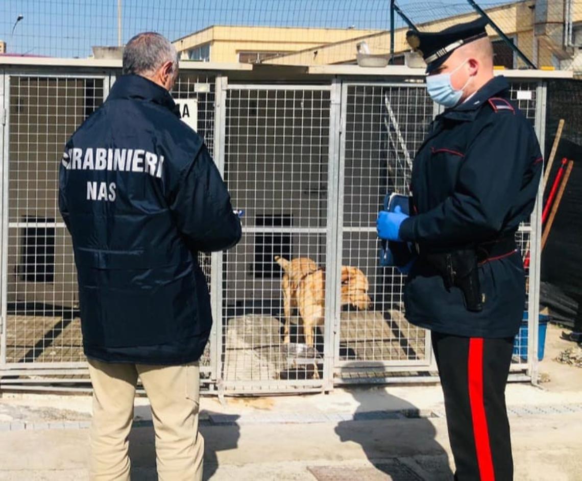 carabinieri padova