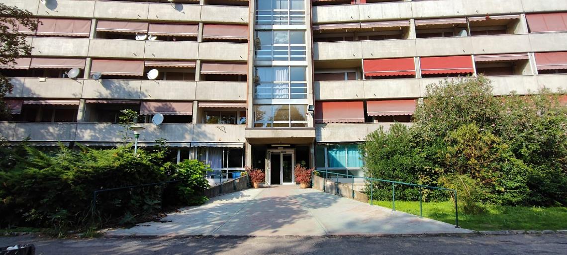 iras rovigo