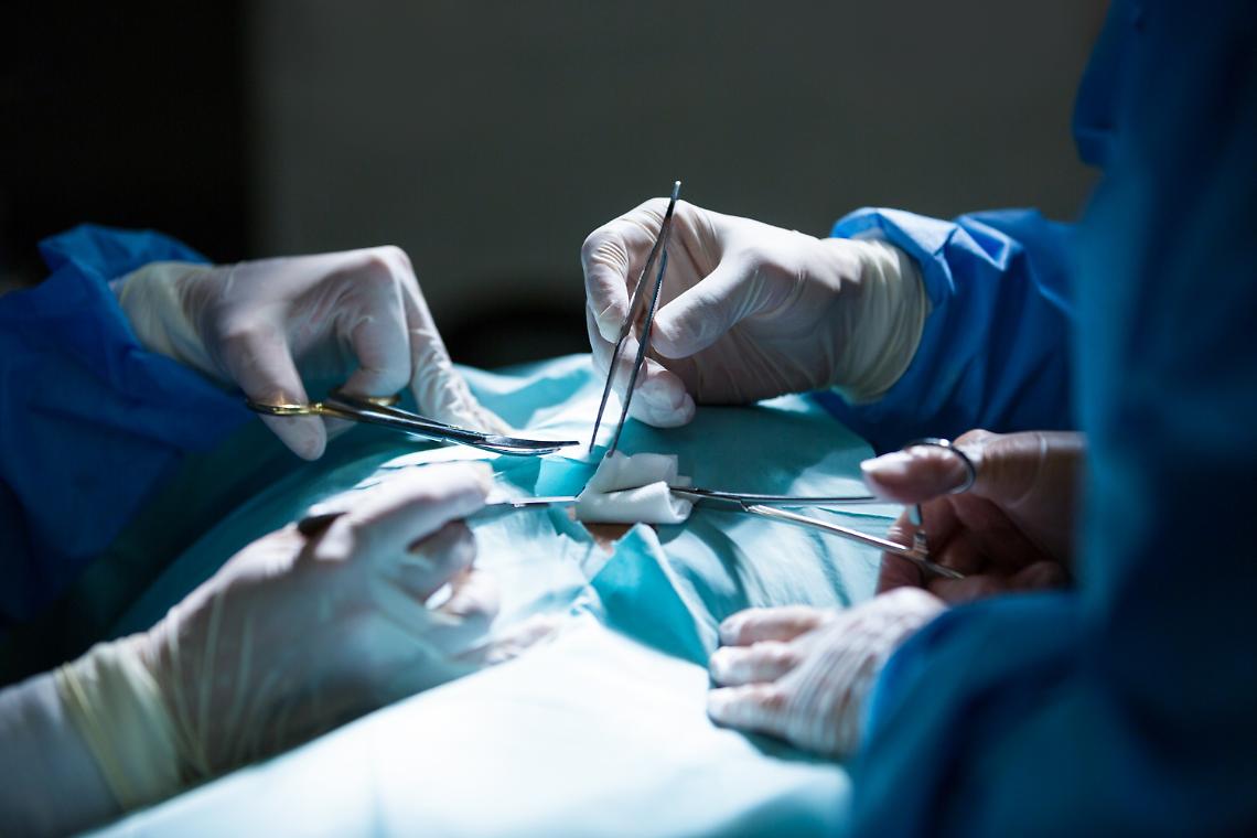 trapianto donazione organi