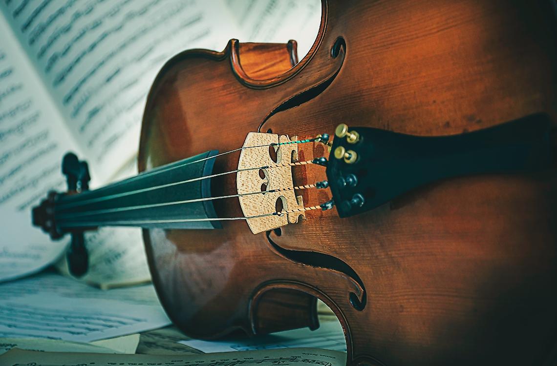 viola violino
