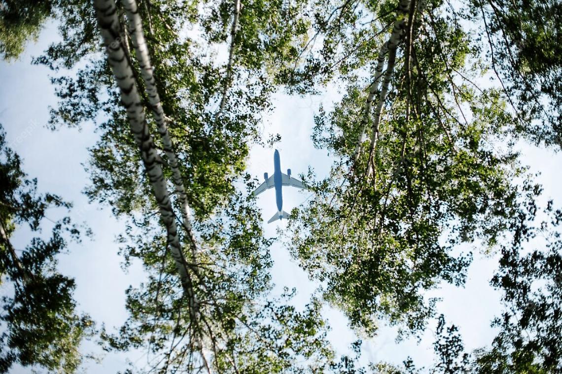 aereo bosco