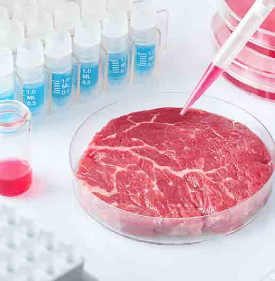 carne sintetica