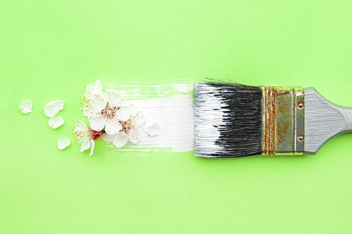 Spring blossom concept. Paint brush with apricot blossom flower on green background.