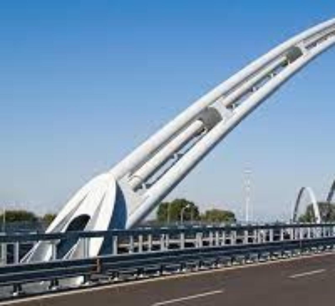 ponte darwin