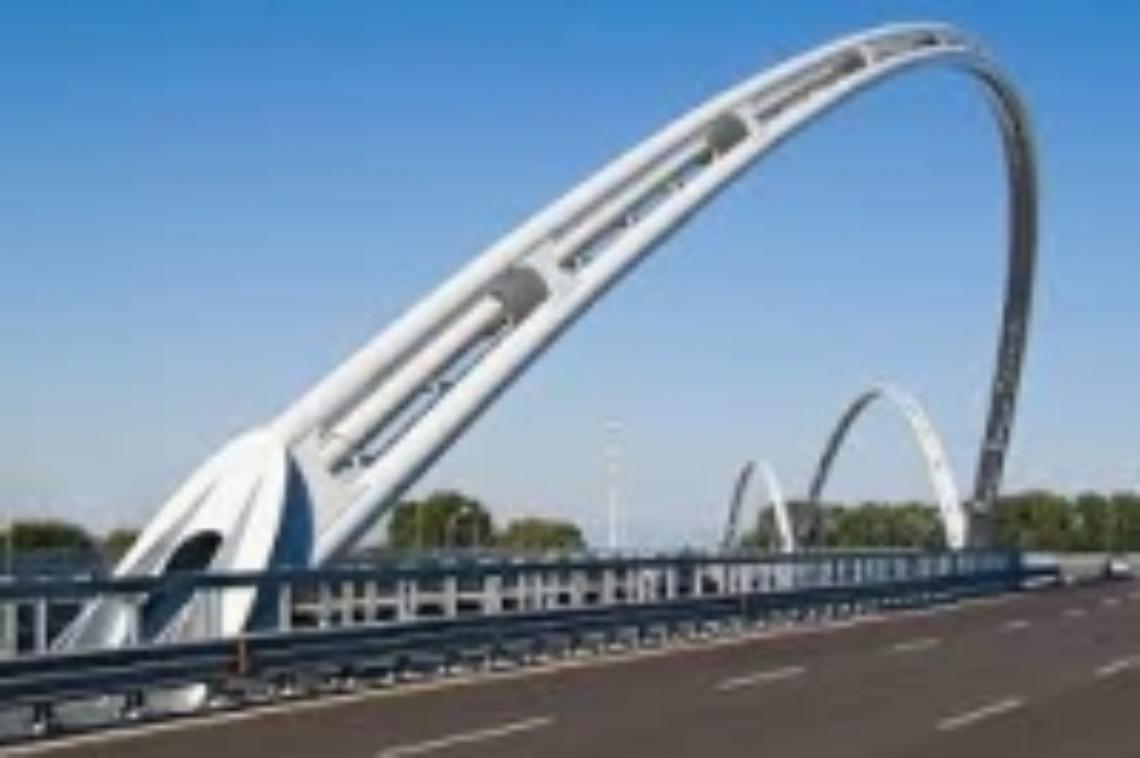 ponte darwin