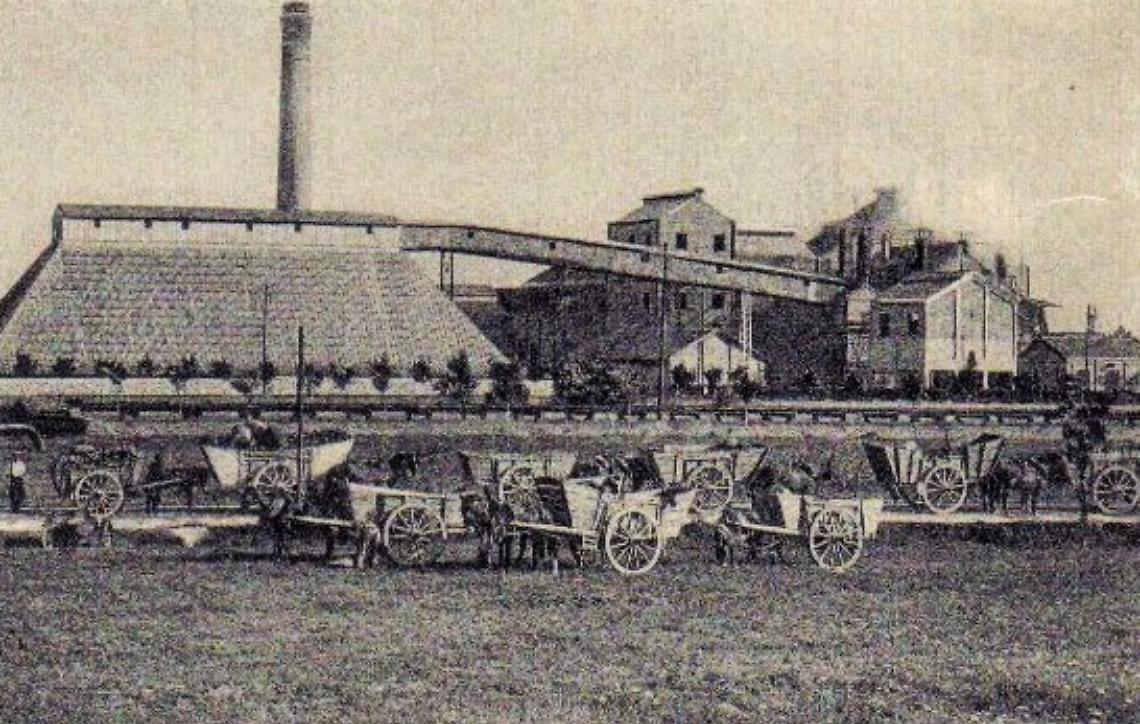 Bottrighe, zuccherificio-agosto 1914 - prima camp. saccarifera