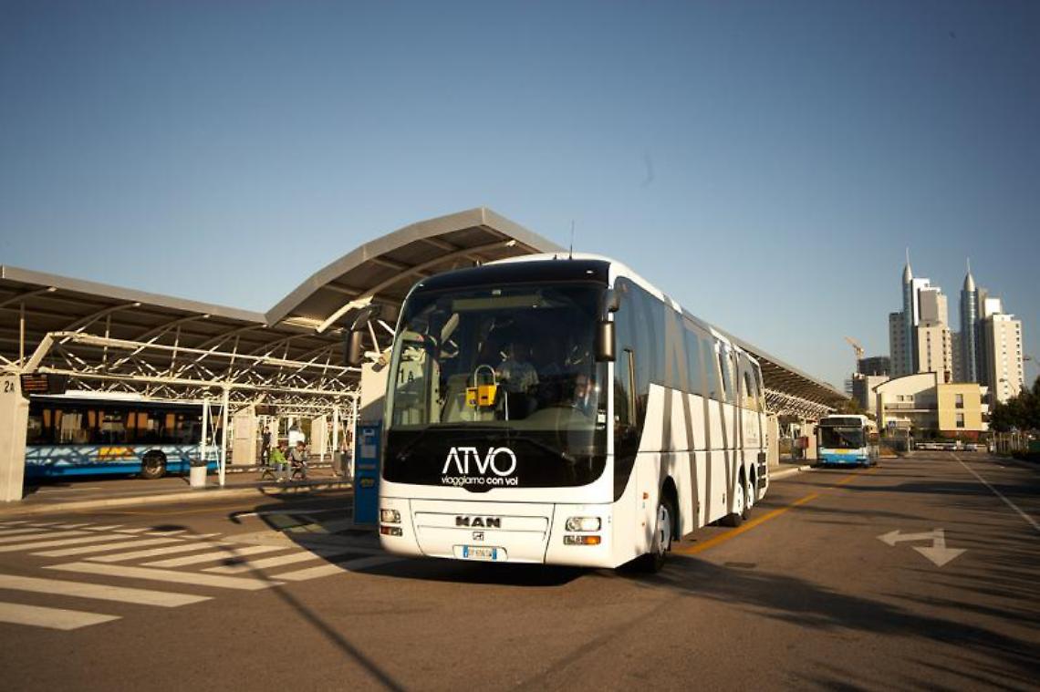 atvo