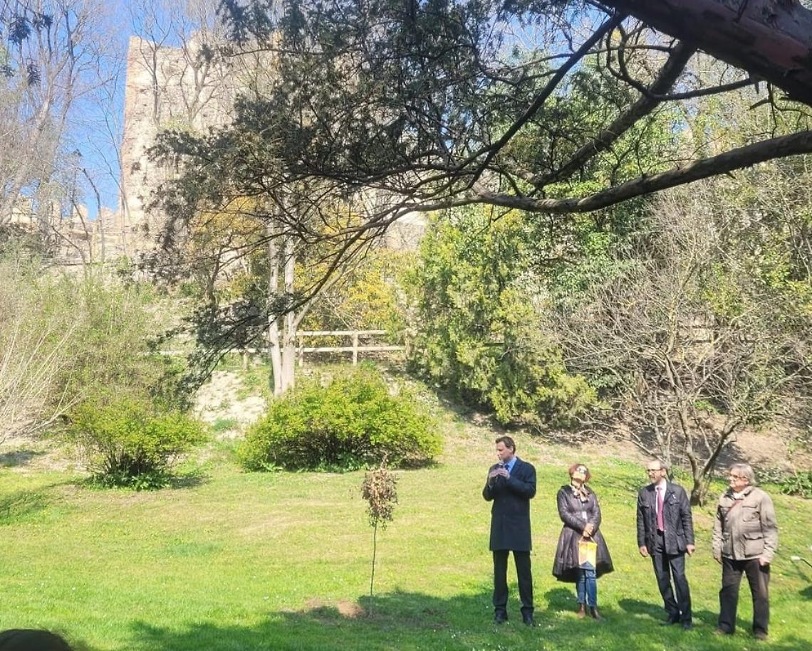 este albero monumentale