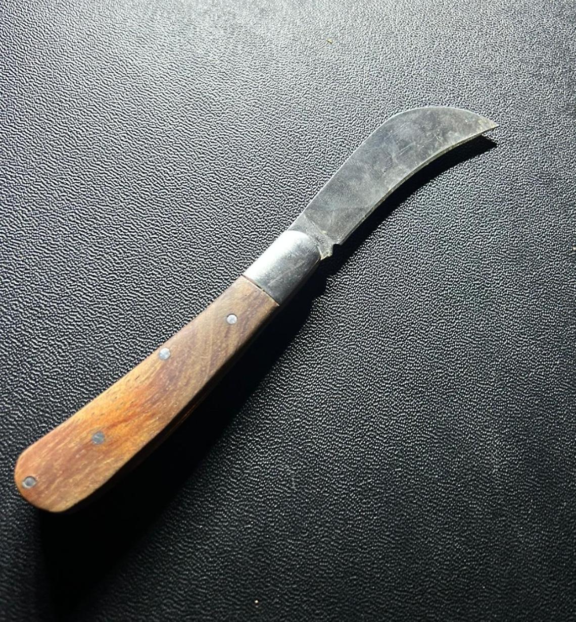 foto coltello sequestrato Oderzo