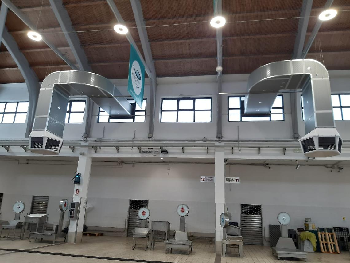 mercato ittico Chioggia (7)