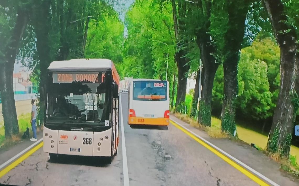 viale Giuriolo bus due corsie