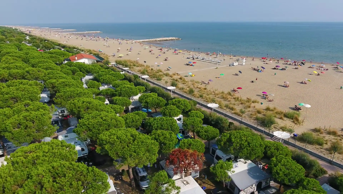 Spiaggia - pineta