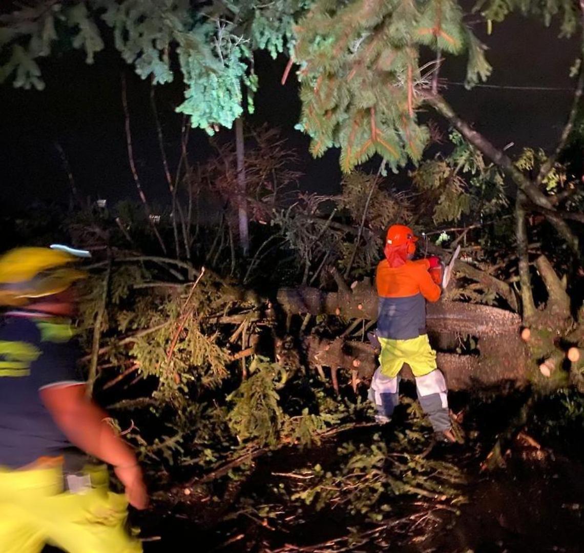 whatsapp_image_2023-07-20_at_13.43.04