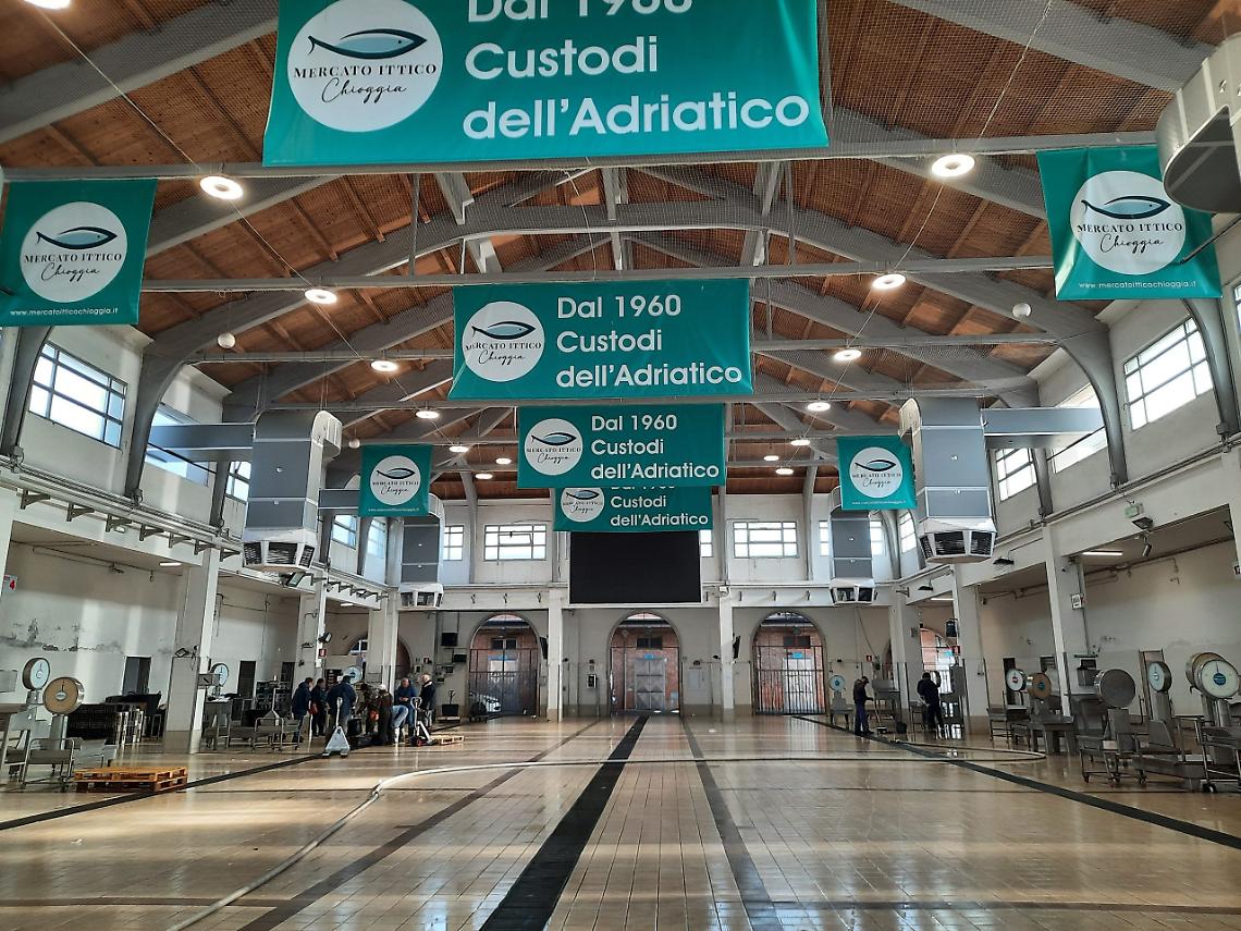 Chioggia mercato ittico 2 (1)