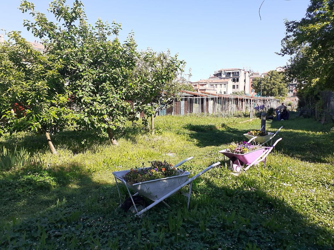 ORTI VENEZIA Abbellimento Area