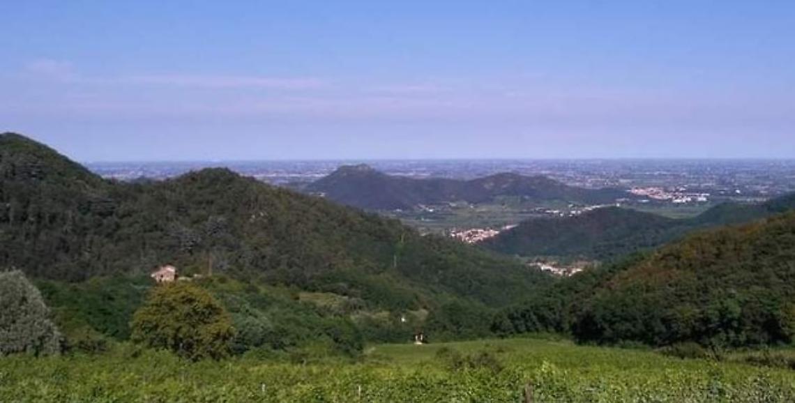 colli euganei23