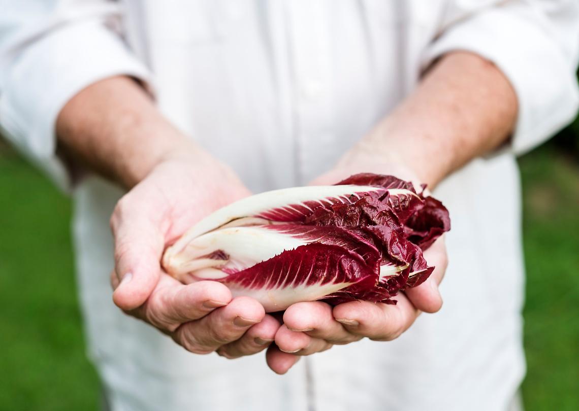 distretti cibo veneto radicchio