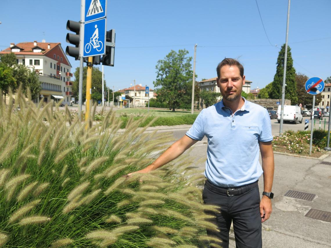 sfalci verde padova