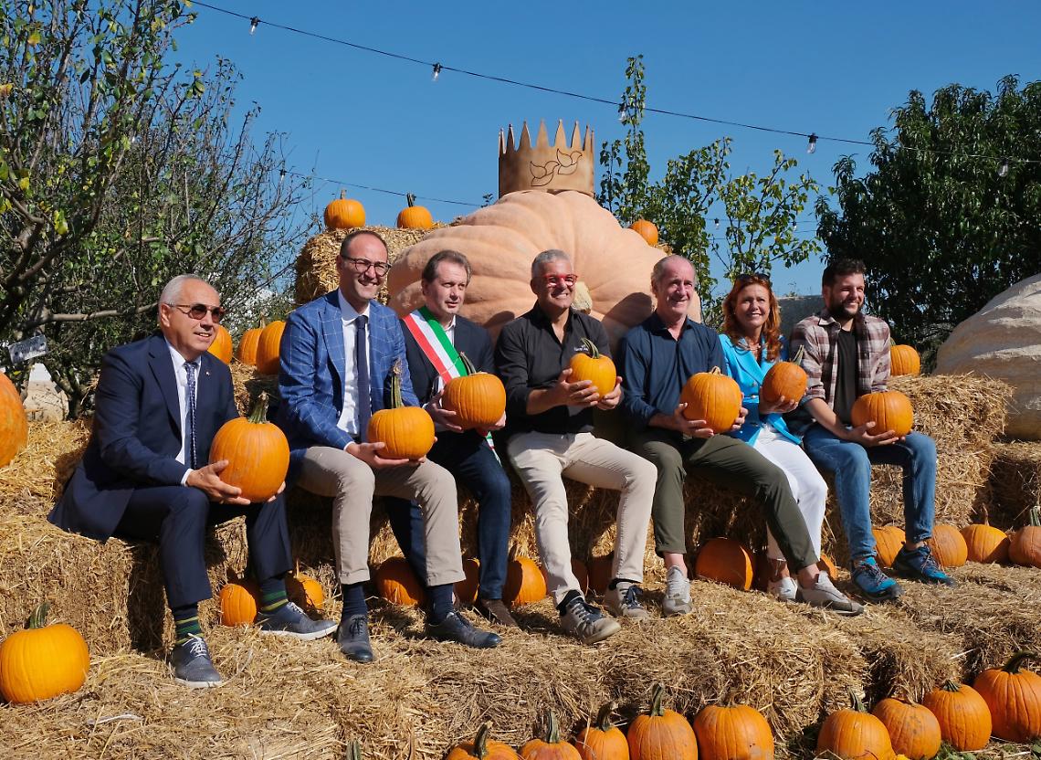 Autorità con zucche 1
