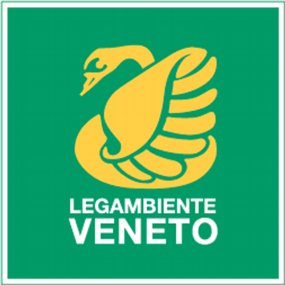 twitveneto_400x400