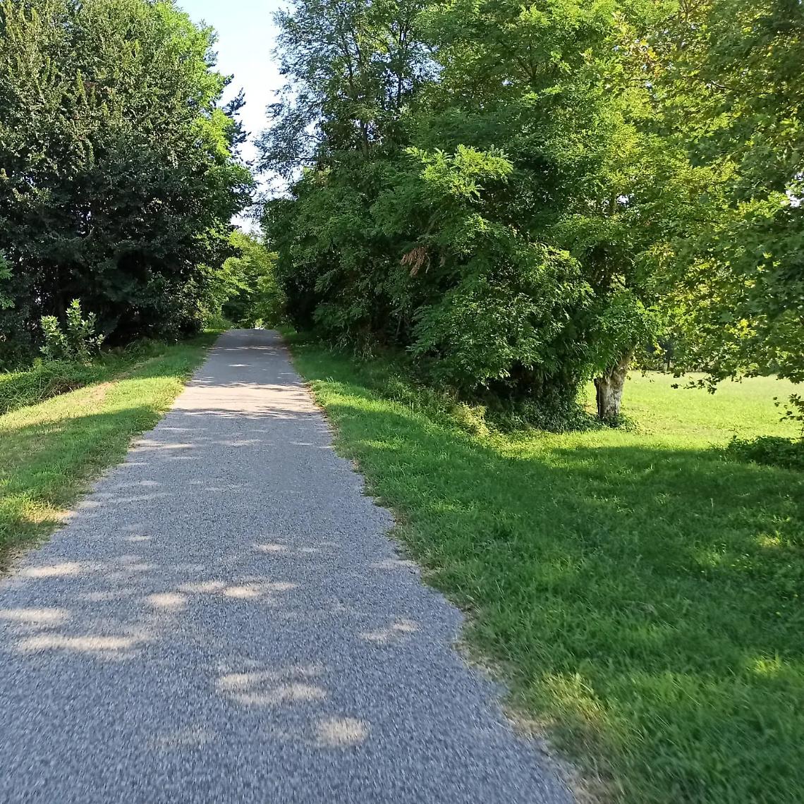 Ciclabile Treviso Ostiglia (1)