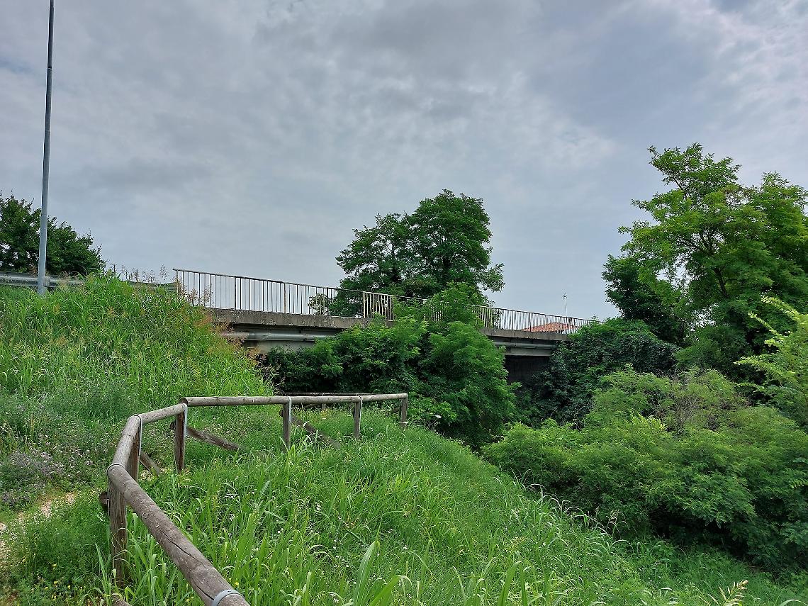 Due Carrare Ponte di Riva sulla Sp17