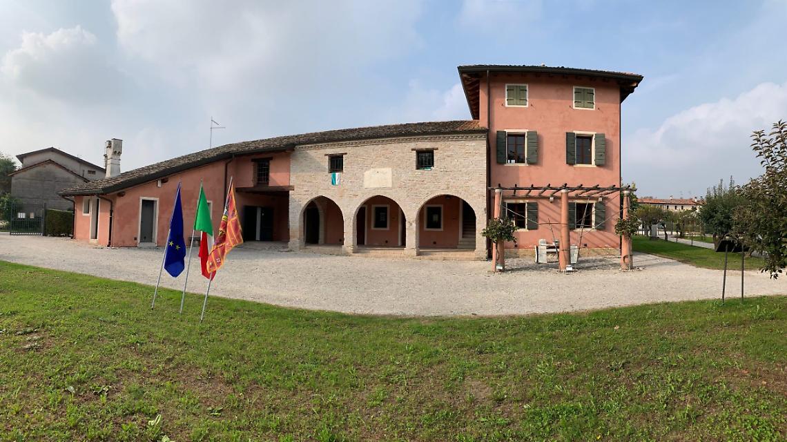 cortino