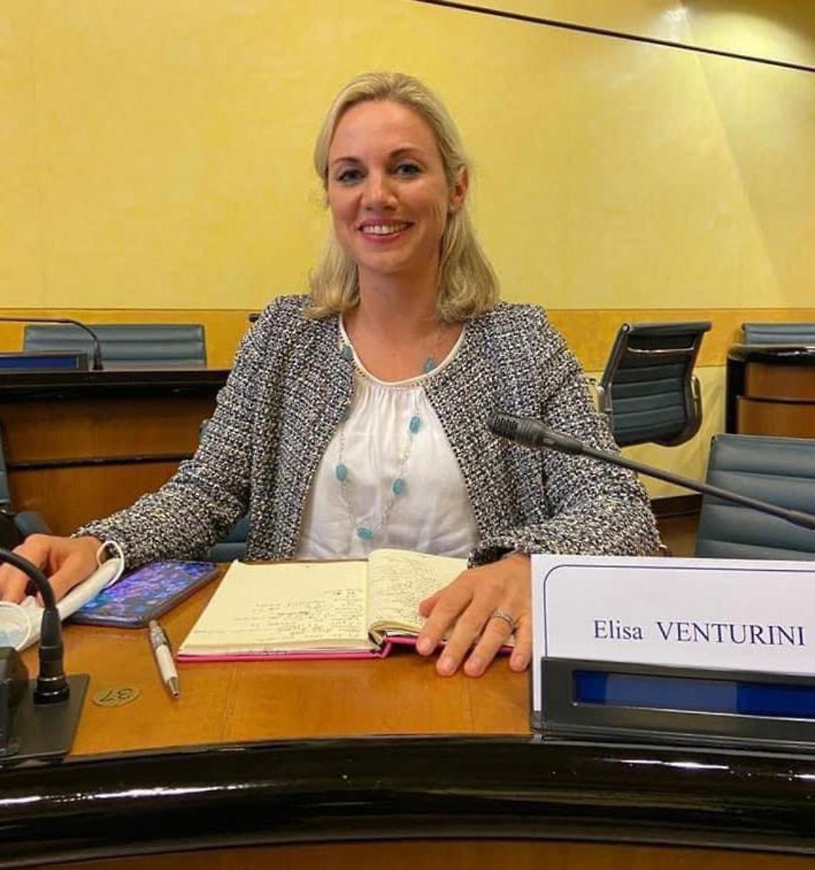 elisa venturini