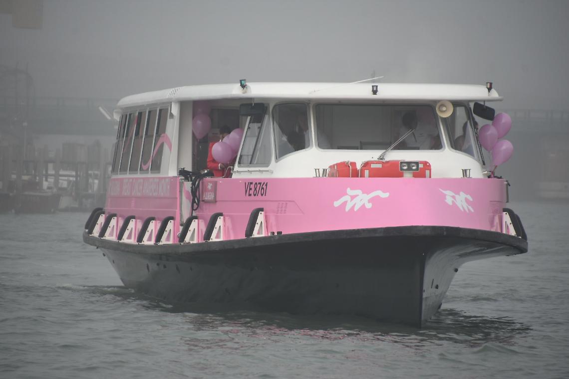 vaporetto Rosa (1)