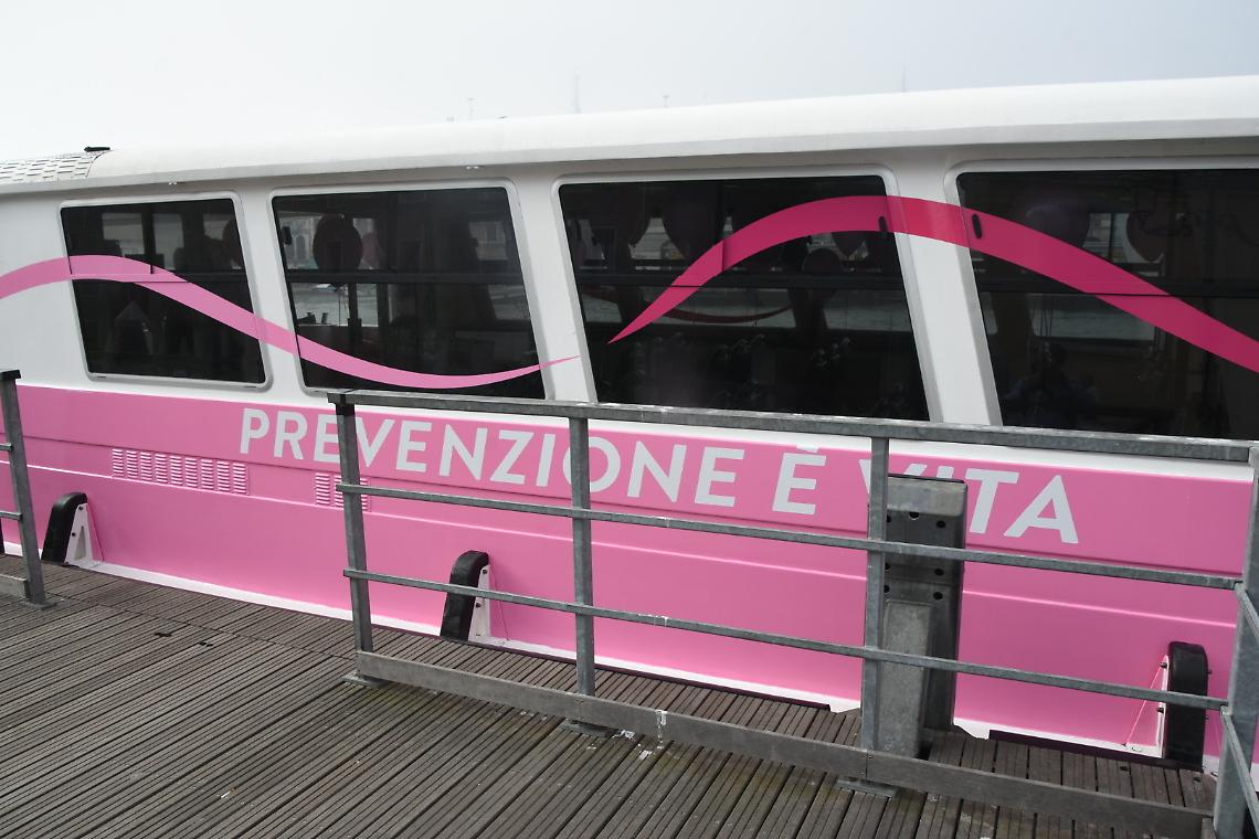 vaporetto Rosa (3)