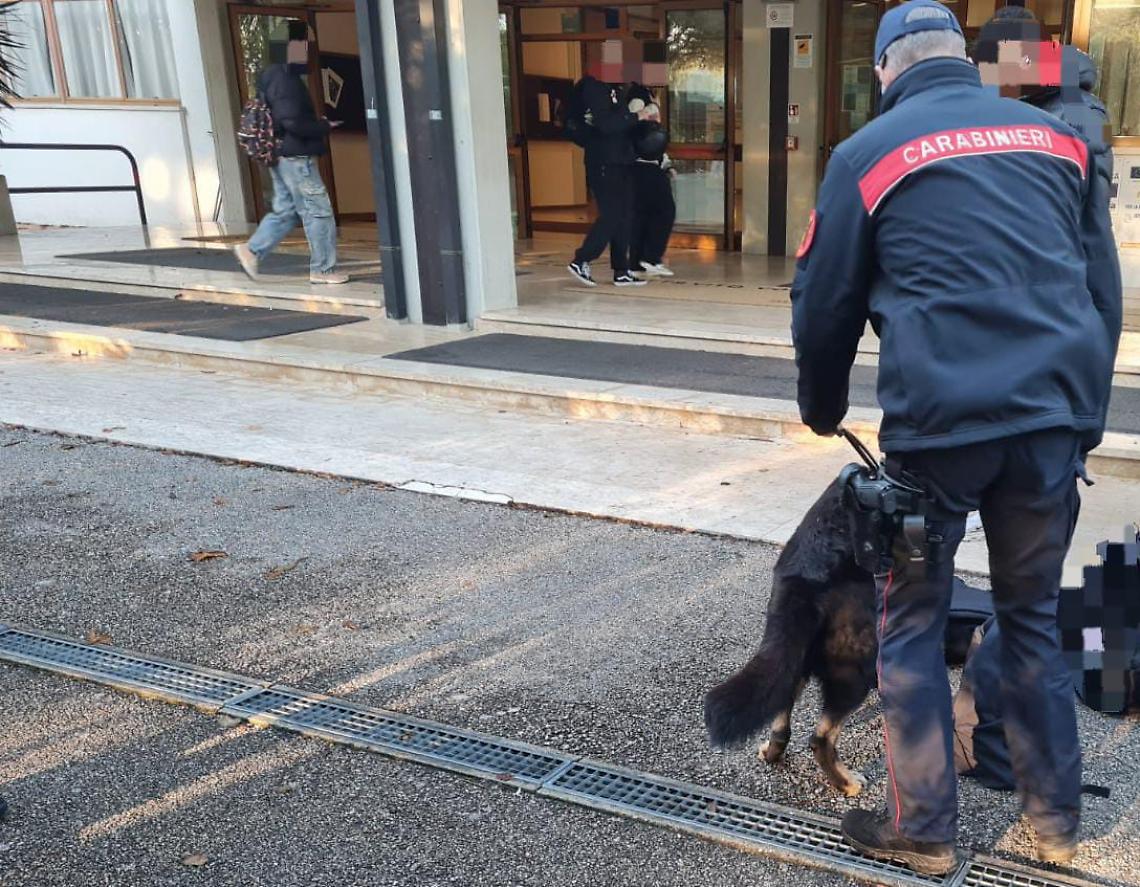 San Donà - Controlli unità cinofila
