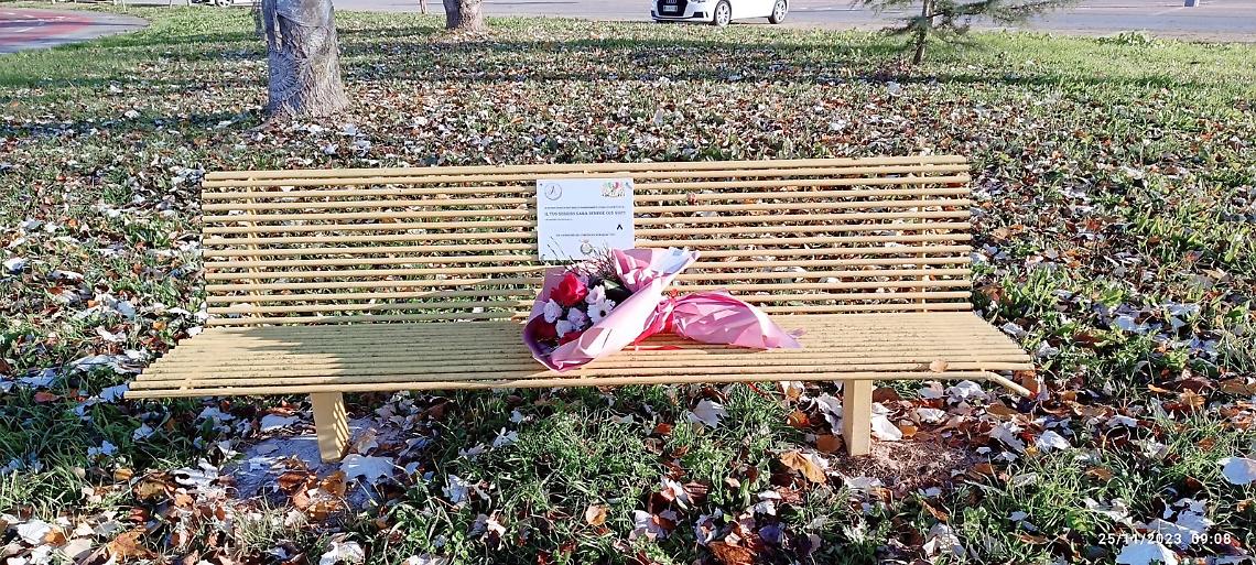 cavarzere violenza donne 1