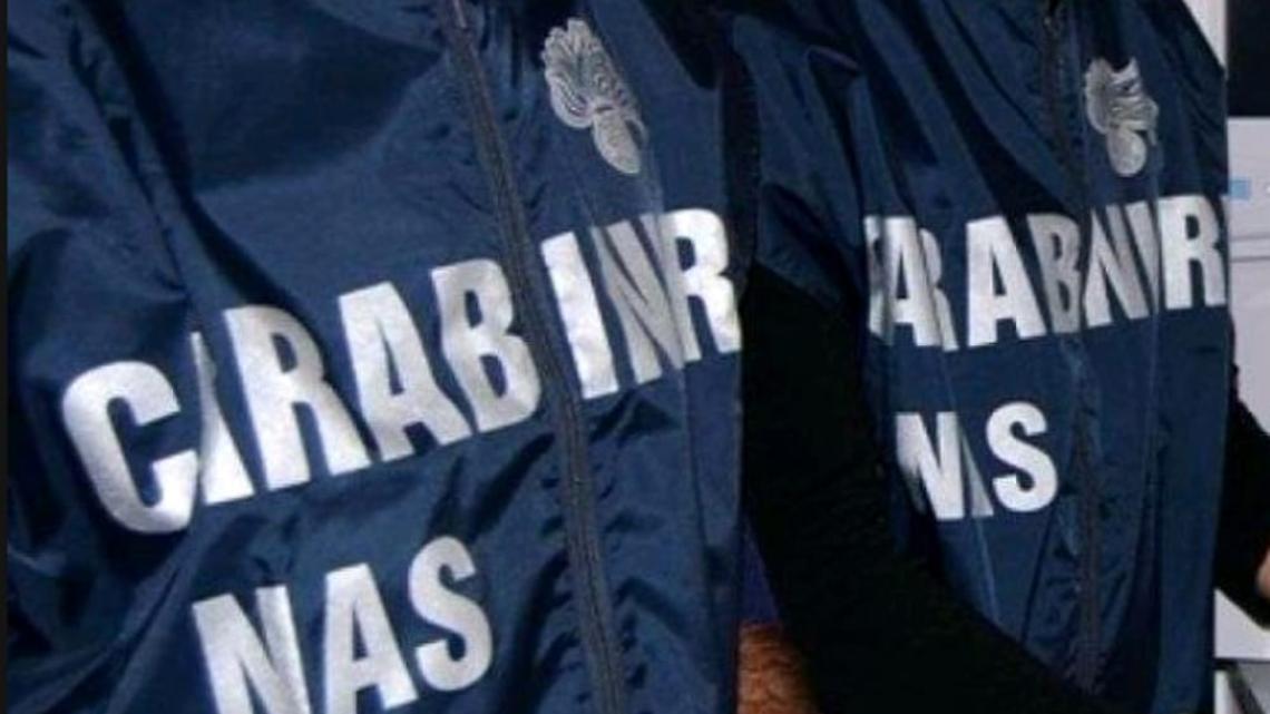  Blitz dei NAS nei locali di Padova: irregolarità e multe per 4.000 euro