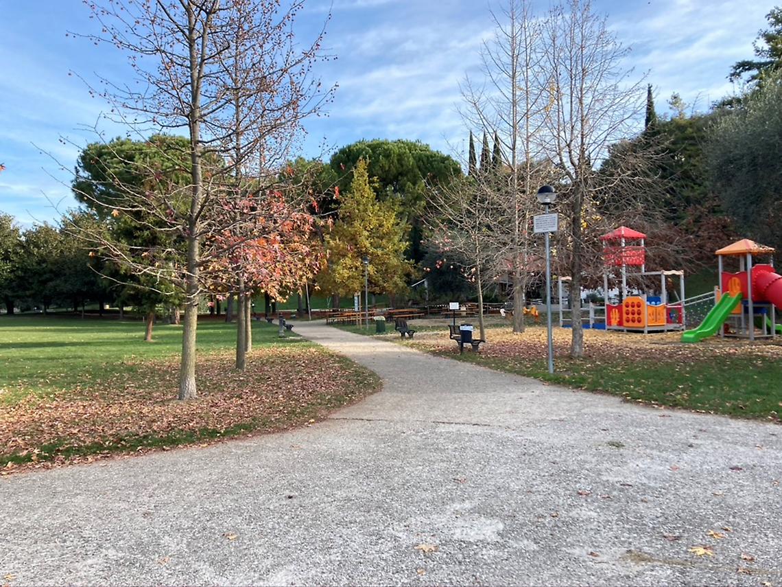 tbl nuovi alberi