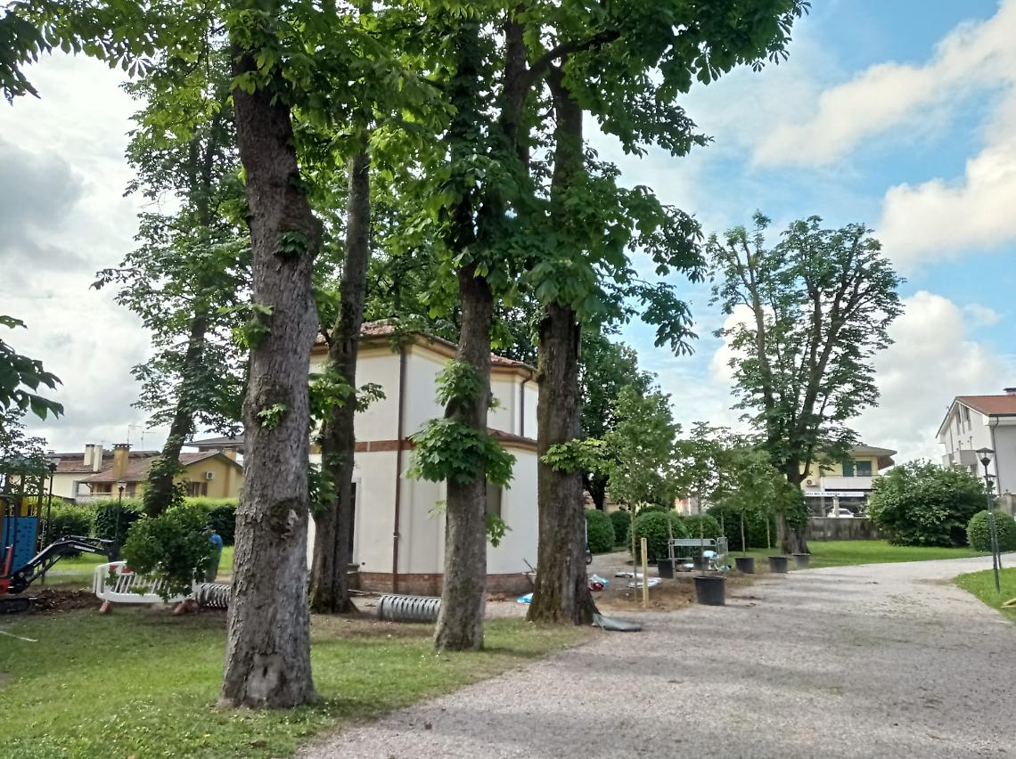 vigodarzere ippcastani