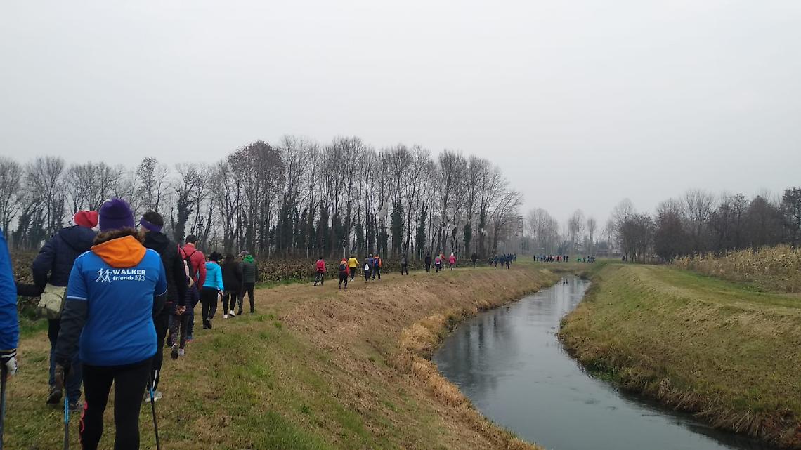 Camminate nella natura