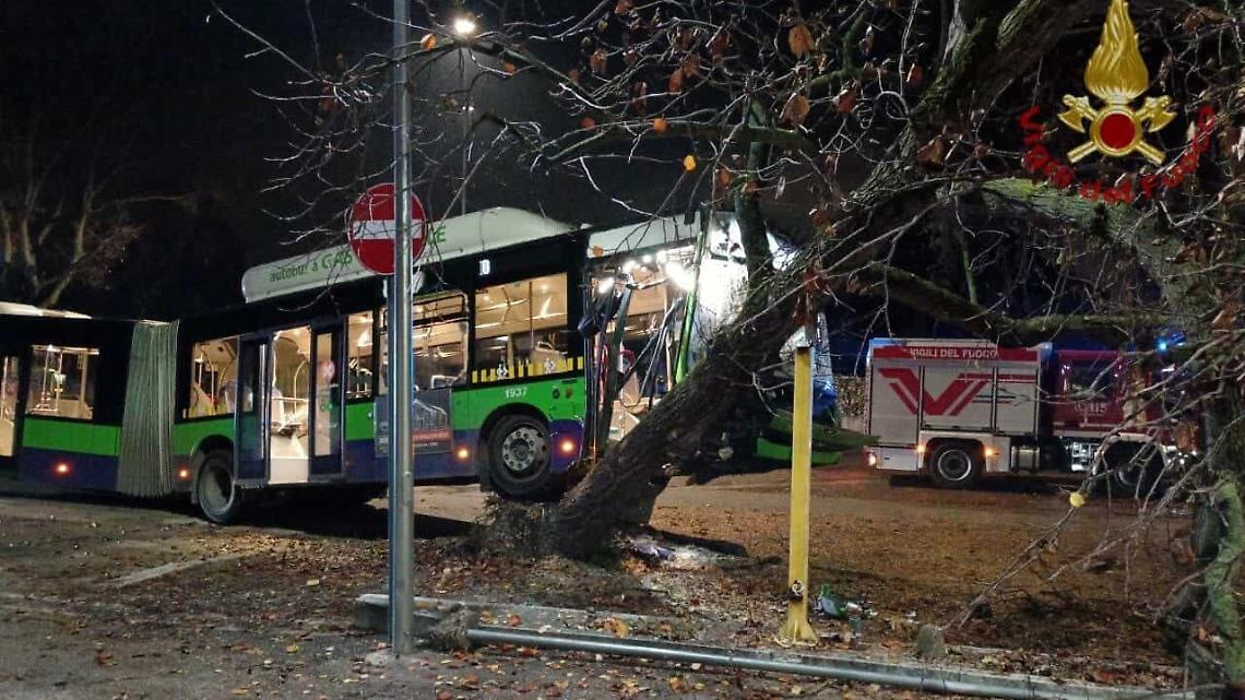 Autobus va a sbattere contro un albero in Basso Acquar-2