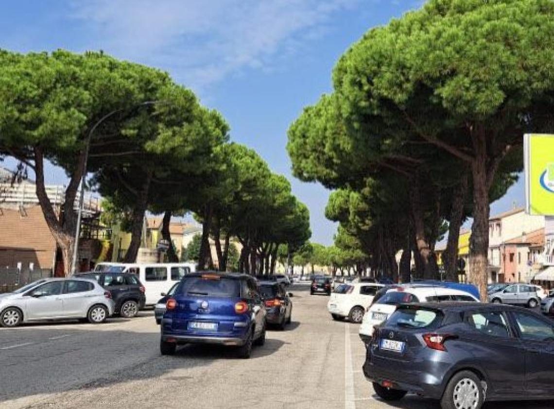 pinigaribaldi
