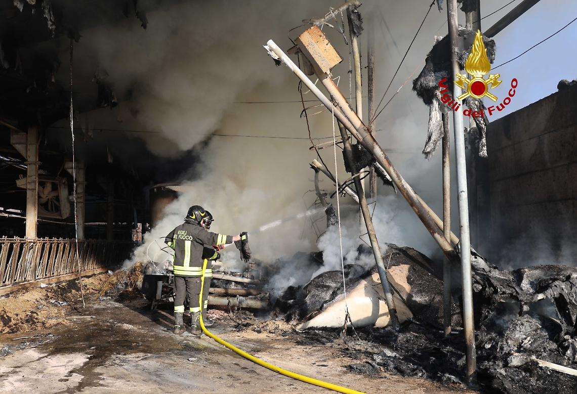 Incendio fattoria Schio 2