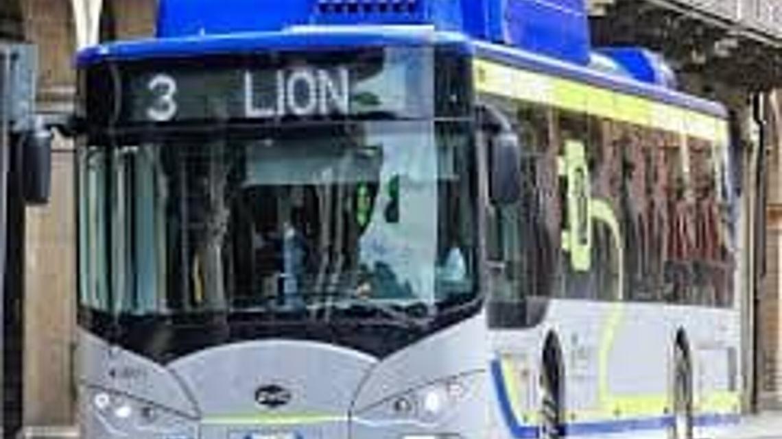 Linea3 BusItalia lion