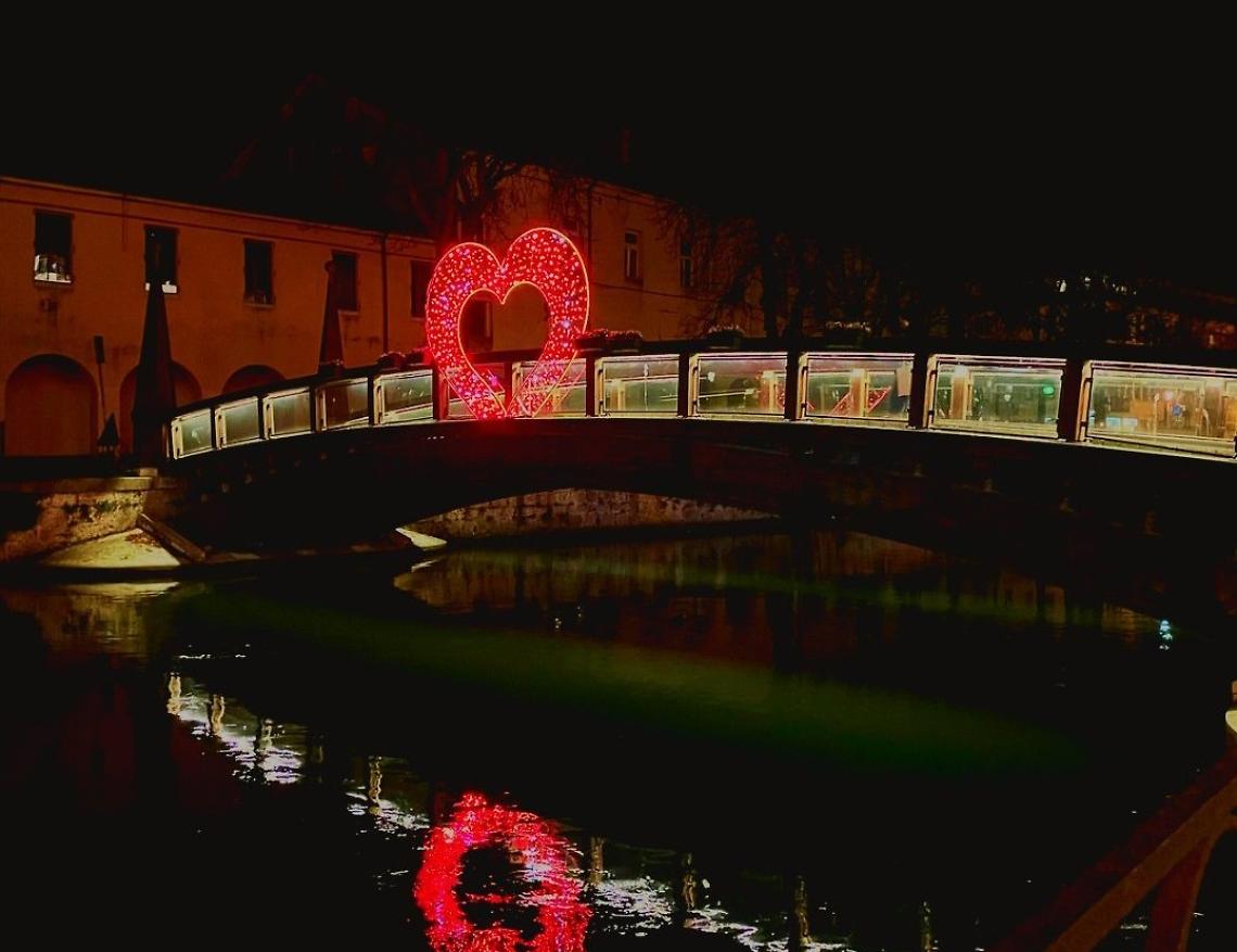 cuori treviso