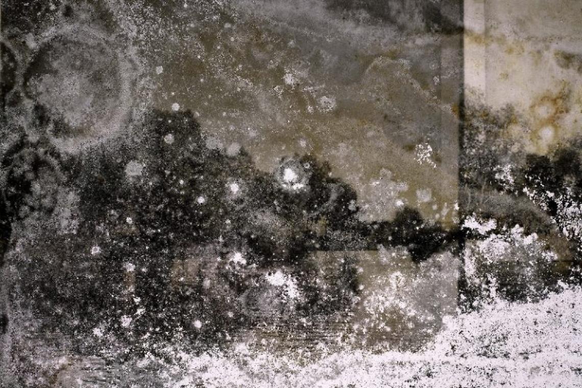 3.-Joan-Fontcuberta.-Cultura-di-polvere-Trauma-3227-2022-©-ICCD-Roma-768x512