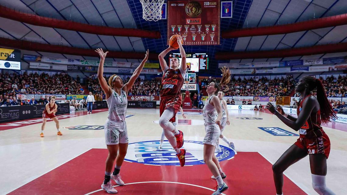 Reyer-Campobasso-Shepard-scaled